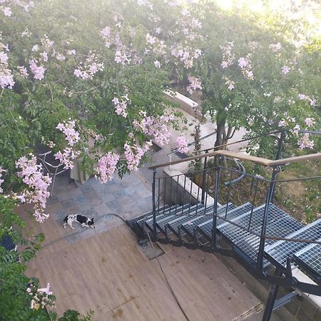 La Fabriqueta Apartament Riudecanyes Экстерьер фото
