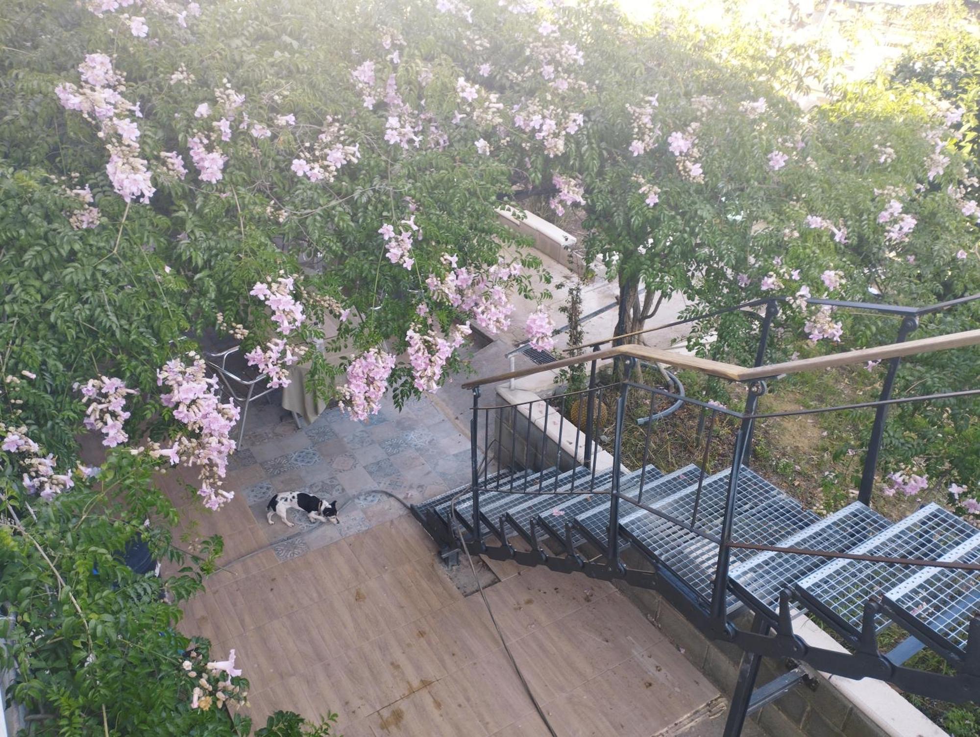 La Fabriqueta Apartament Riudecanyes Экстерьер фото